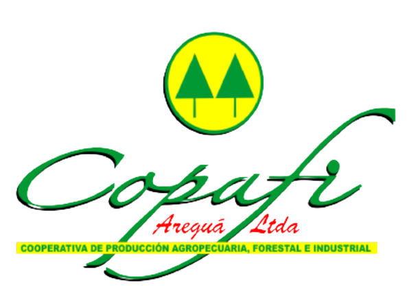 COPAFI Areguá Limitada